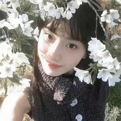 修罗雪姬